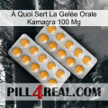 À Quoi Sert La Gelée Orale Kamagra 100 Mg levitra2